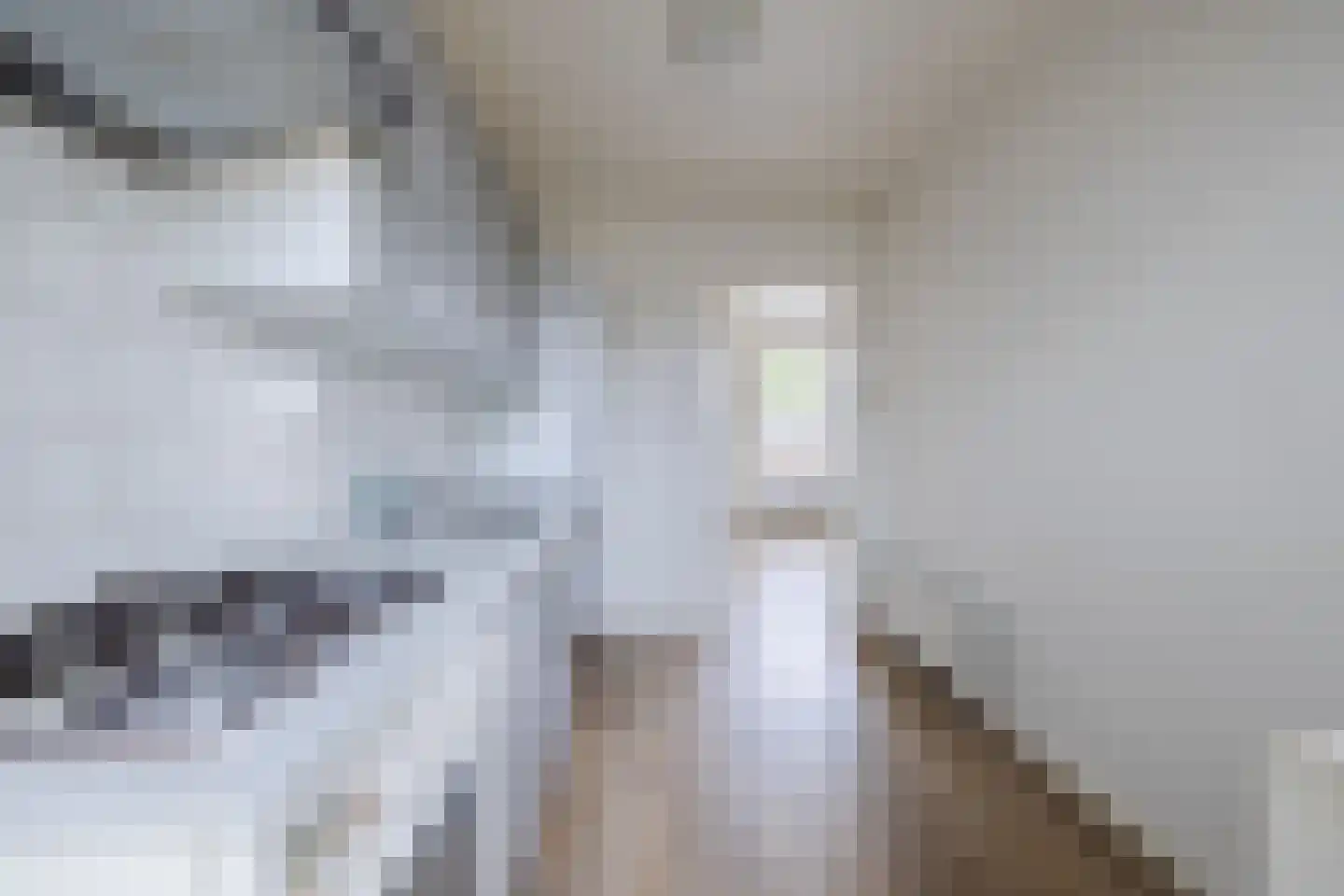 Wiltenweg 19 de Wijk thumbnail 14