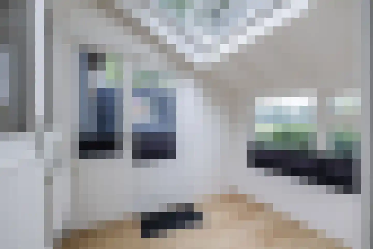 Wiltenweg 19 de Wijk thumbnail 17