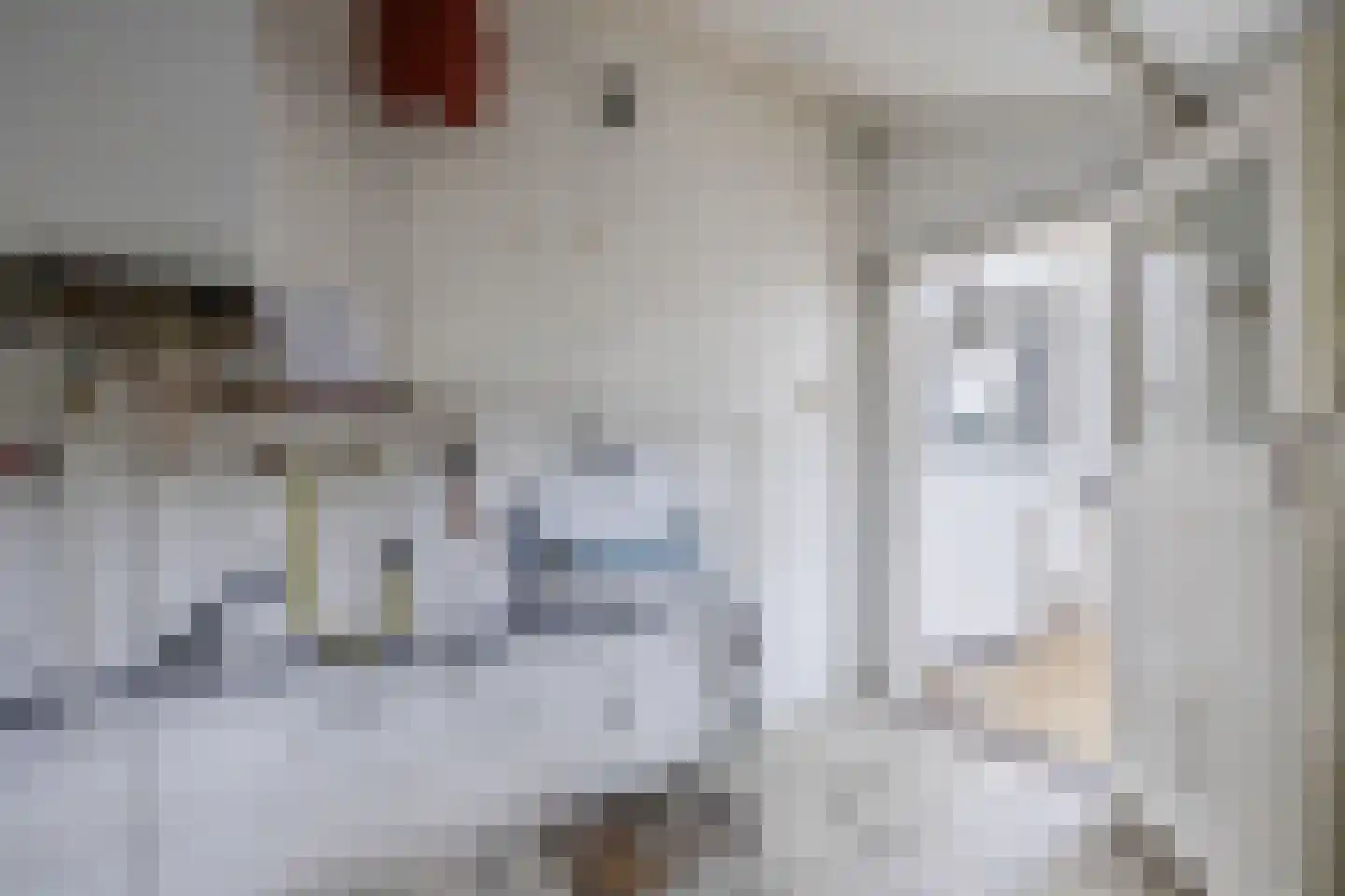 Wiltenweg 19 de Wijk thumbnail 18