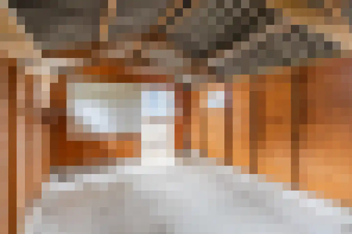 Wiltenweg 19 de Wijk thumbnail 37