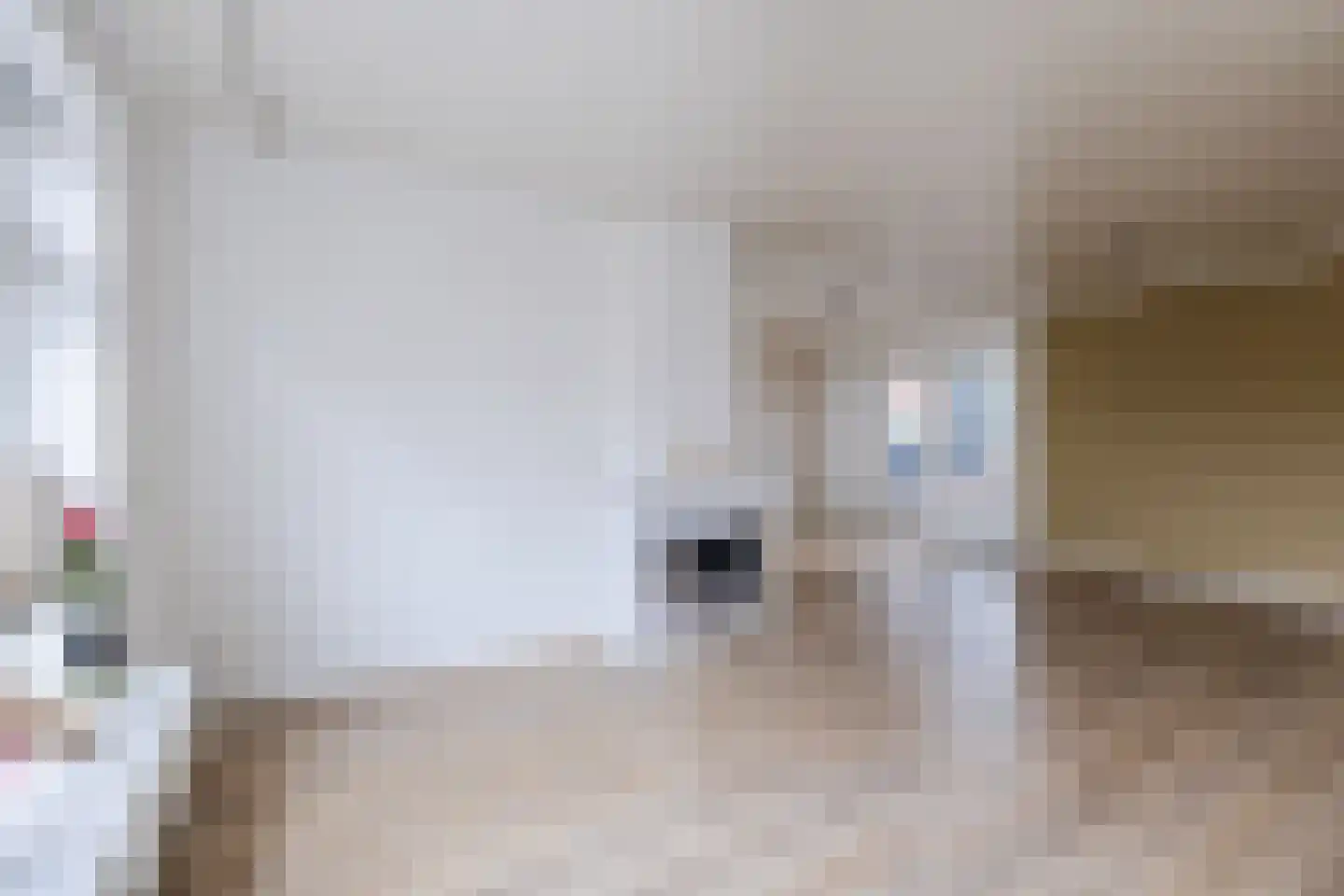 Wiltenweg 19 de Wijk thumbnail 7