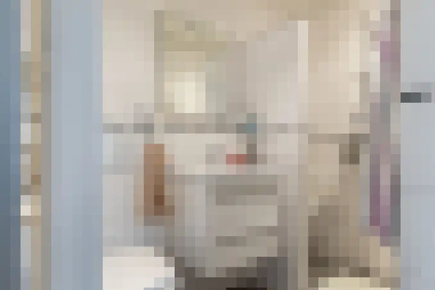Wiltenweg 23 de Wijk thumbnail 14