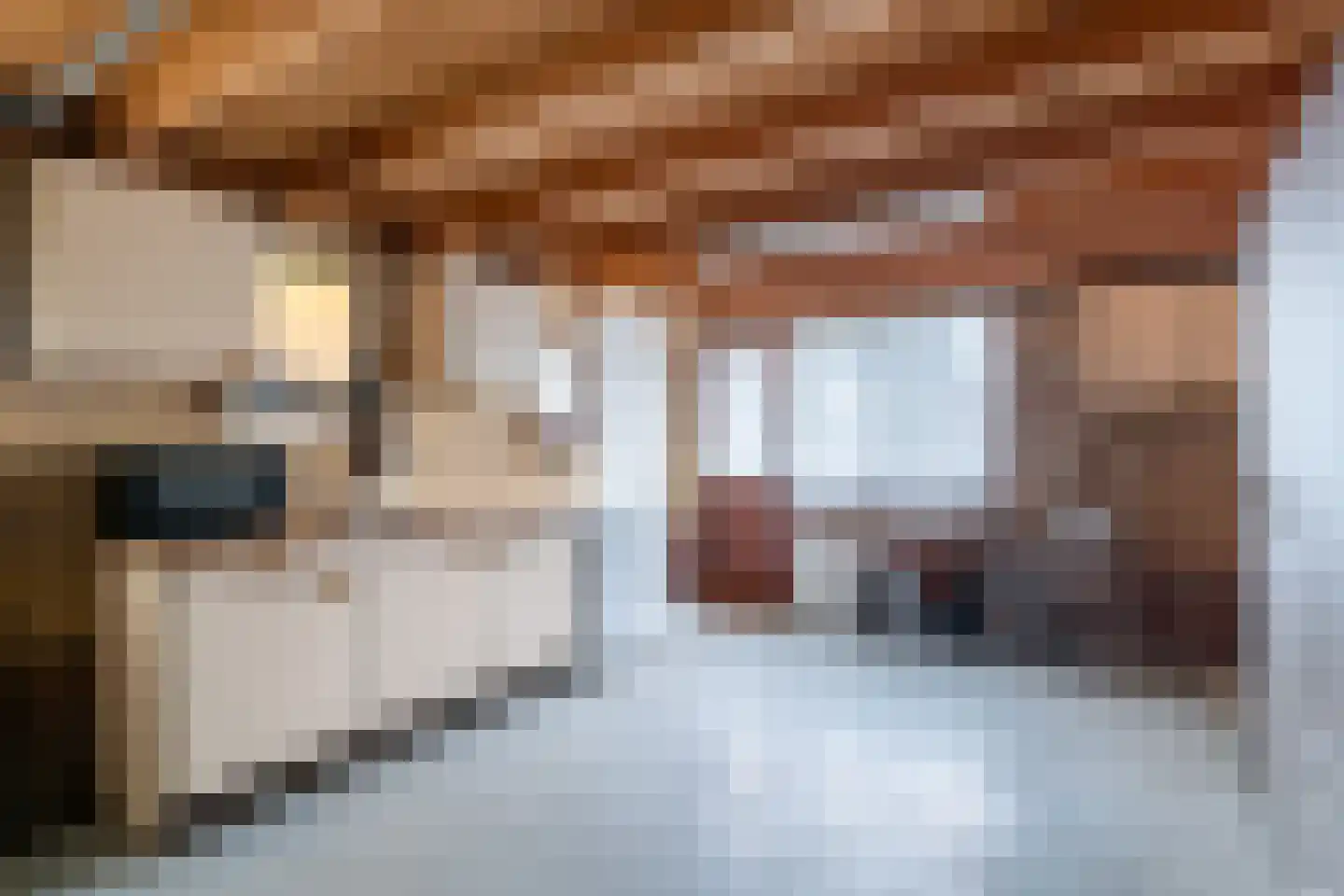 Wiltenweg 23 de Wijk thumbnail 17