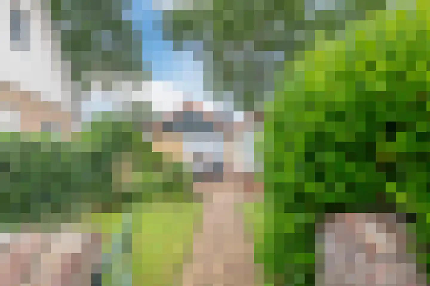 Wiltenweg 23 de Wijk thumbnail 20