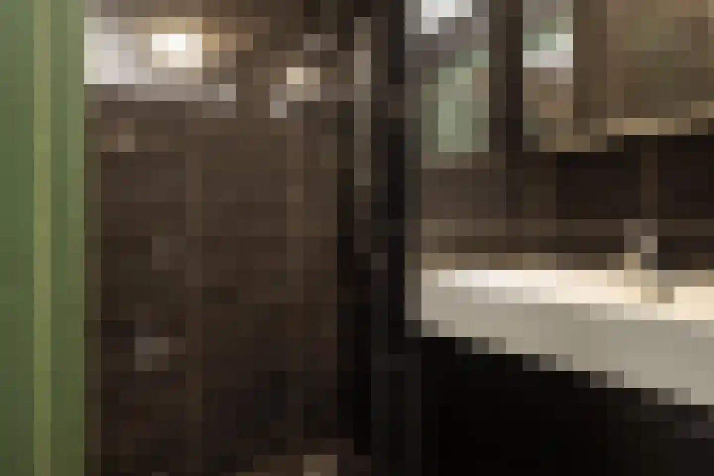 Wiltenweg 28 de Wijk thumbnail 8