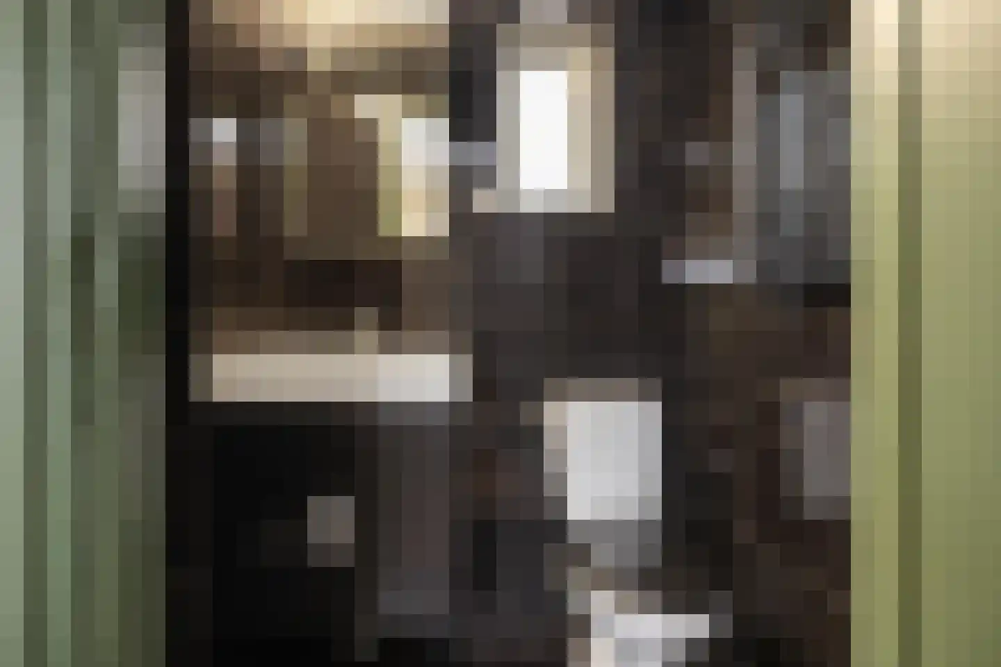 Wiltenweg 28 de Wijk thumbnail 9