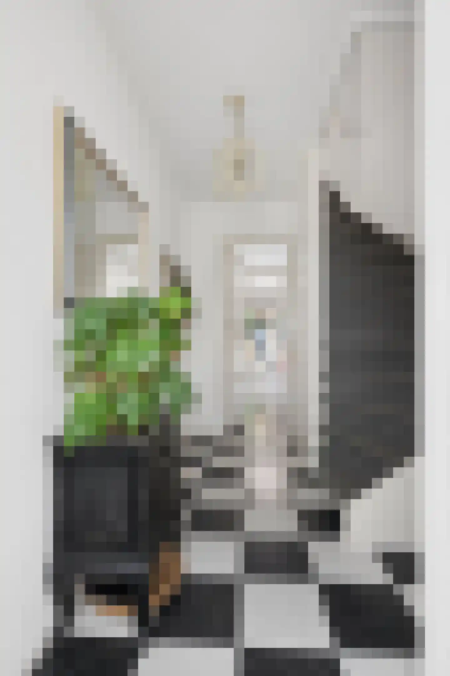 Wilterdinkstraat 23 Ede thumbnail 16