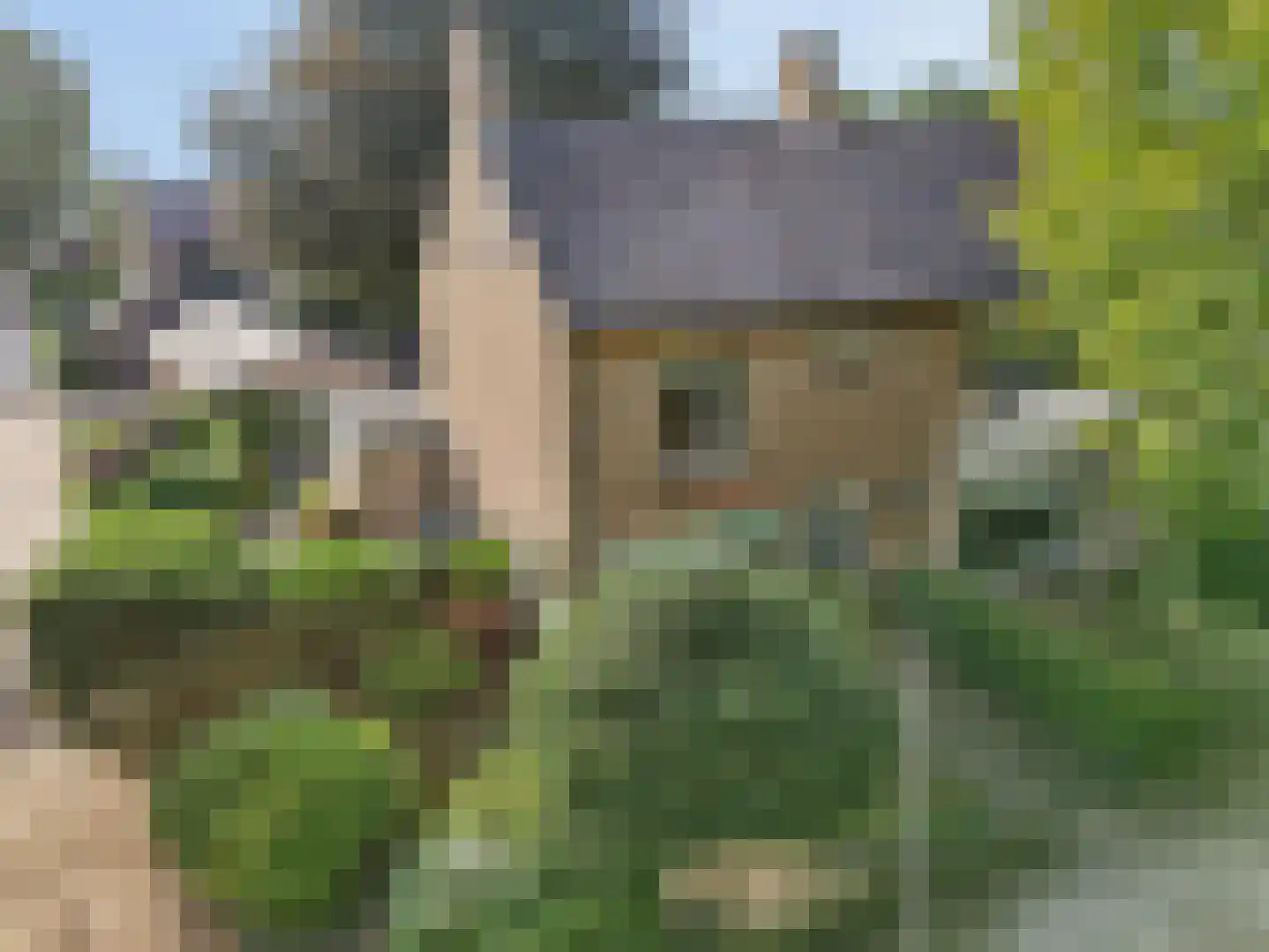Wilterdinkstraat 23 Ede thumbnail 48