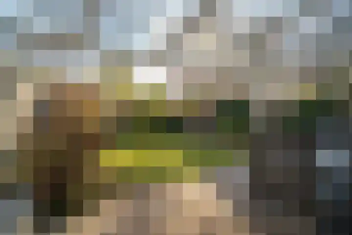 Wilthuislanden 141 Enschede thumbnail 23