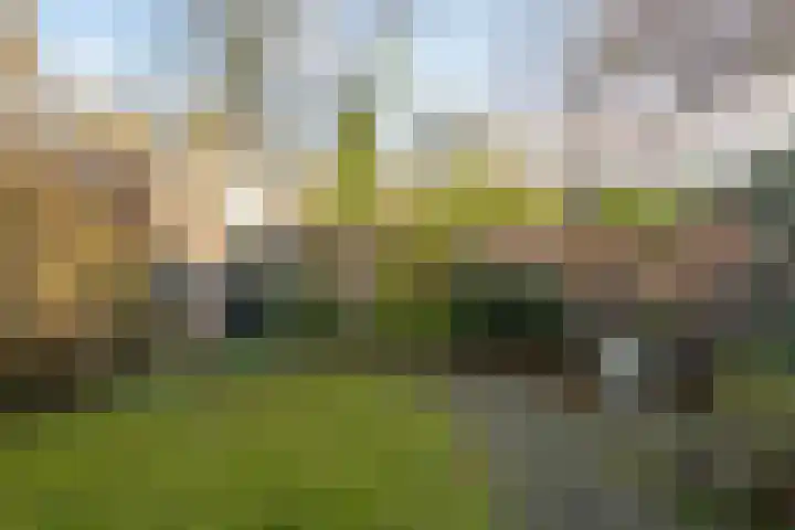 Wilthuislanden 141 Enschede thumbnail 25