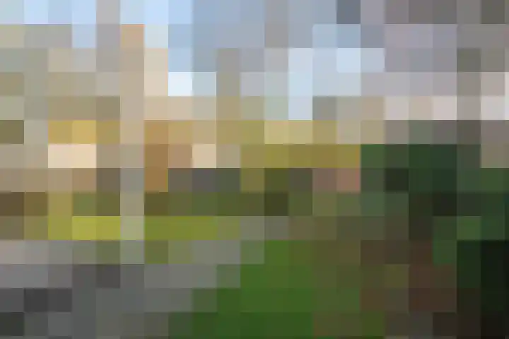 Wilthuislanden 141 Enschede thumbnail 28