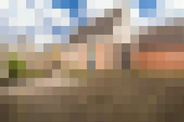 Wiltingelaan 12 Onstwedde thumbnail 12