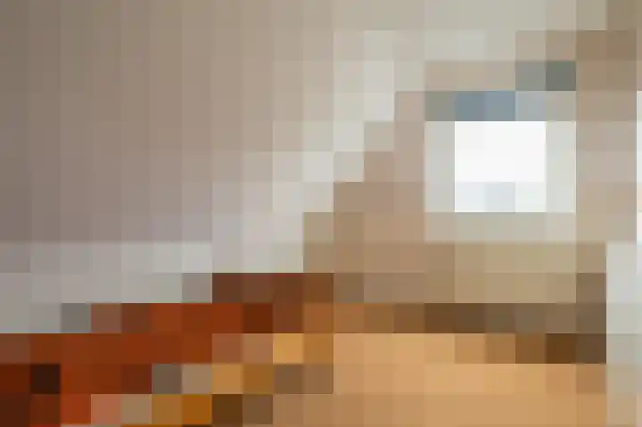 Wiltingelaan 12 Onstwedde thumbnail 32