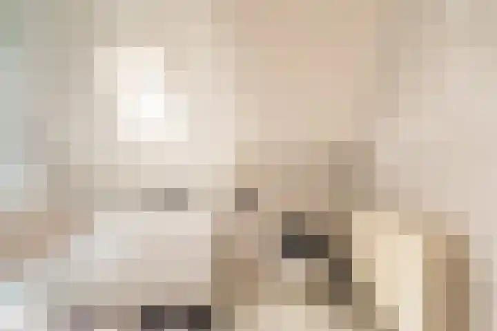 Wiltingelaan 12 Onstwedde thumbnail 35
