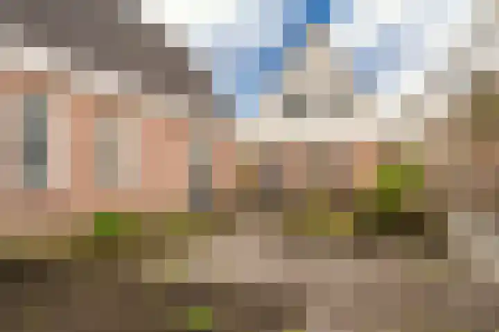 Wiltingelaan 12 Onstwedde thumbnail 4