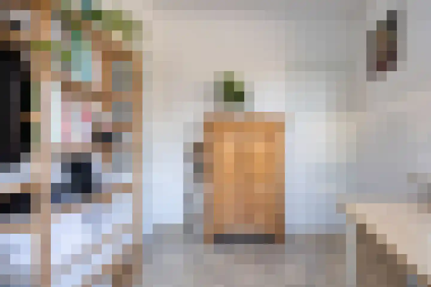Wiltingerweg 35 Appelscha thumbnail 25