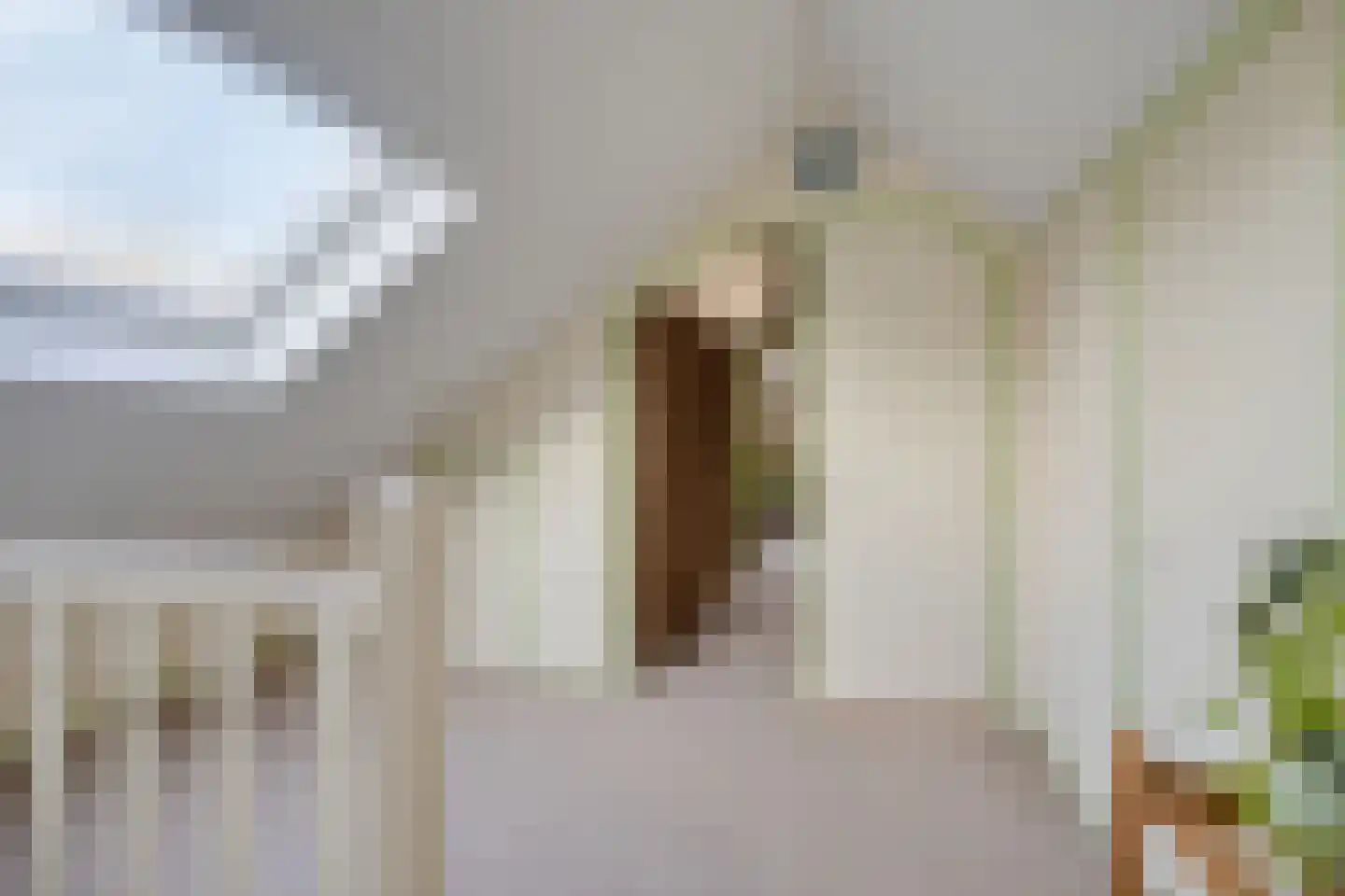 Wiltingerweg 35 Appelscha thumbnail 27
