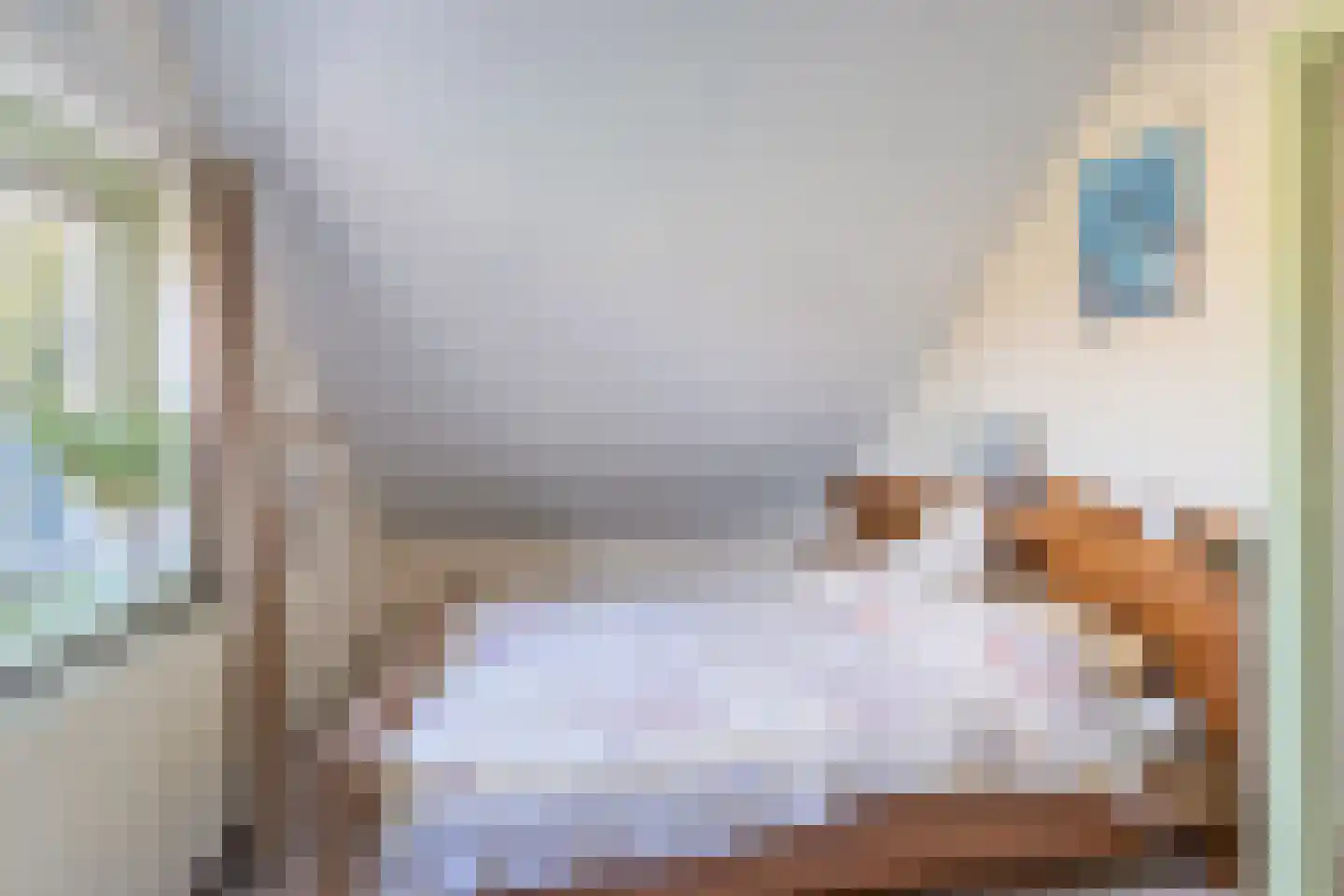 Wiltingerweg 35 Appelscha thumbnail 32