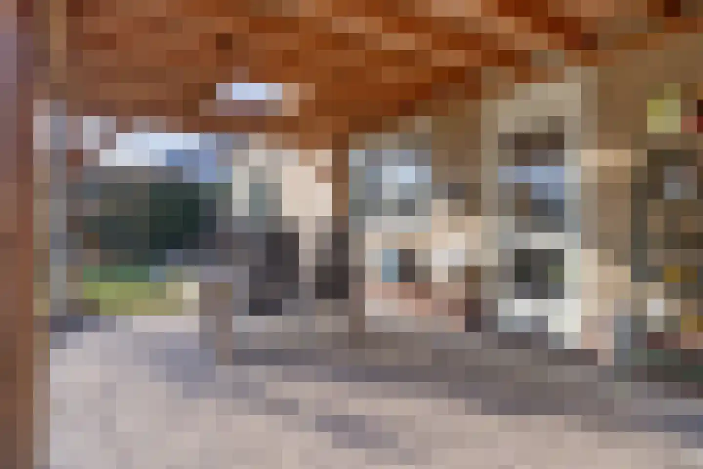 Wiltingerweg 35 Appelscha thumbnail 36