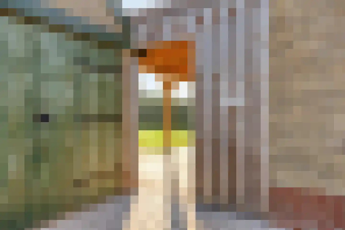 Wiltingerweg 35 Appelscha thumbnail 42
