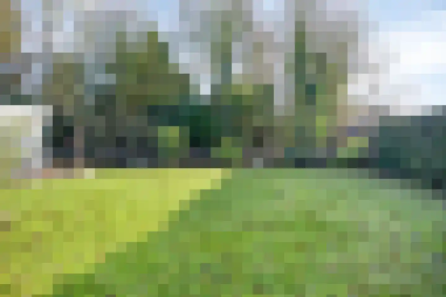 Wiltingerweg 35 Appelscha thumbnail 45