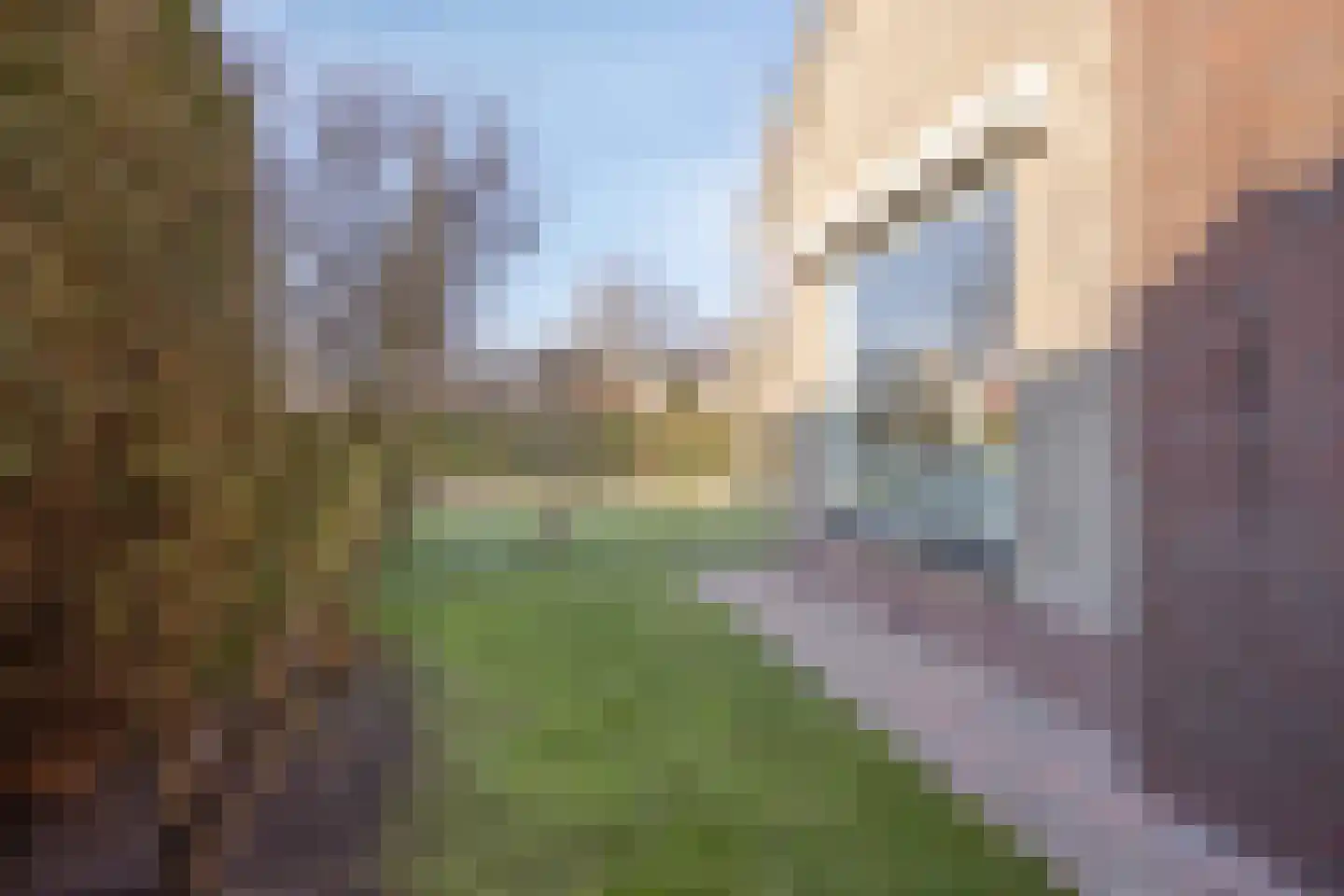 Wiltingerweg 35 Appelscha thumbnail 47