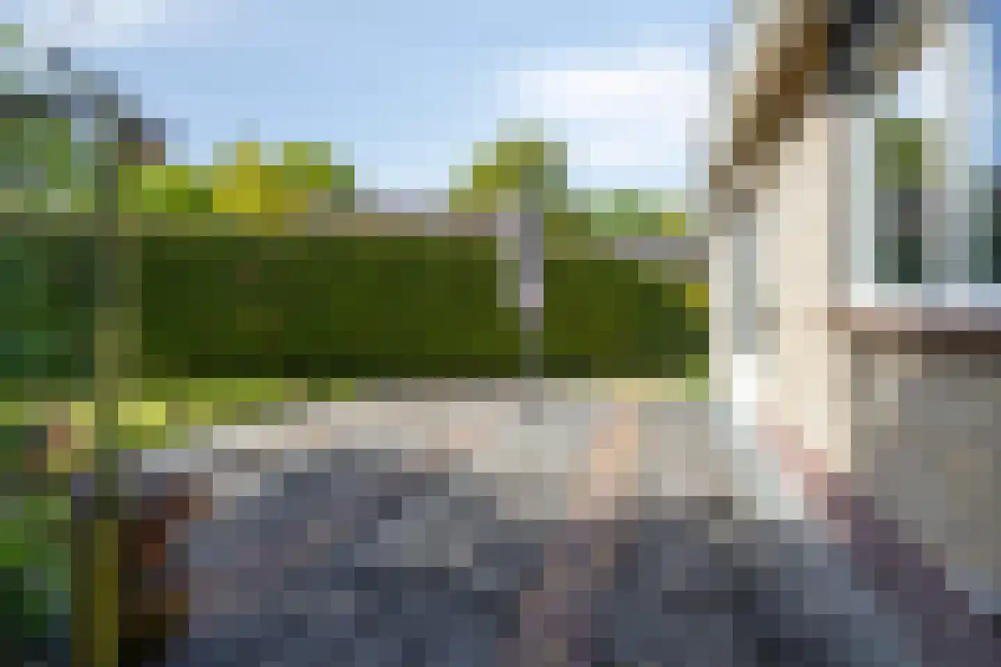 Wiltingerweg 37 Appelscha thumbnail 33