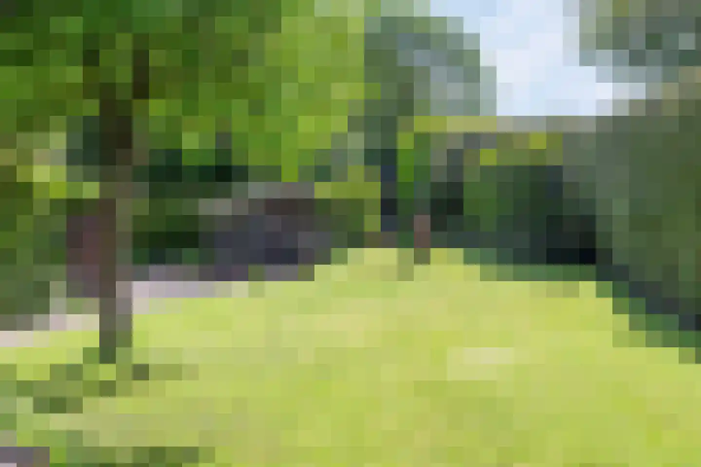 Wiltingerweg 37 Appelscha thumbnail 38