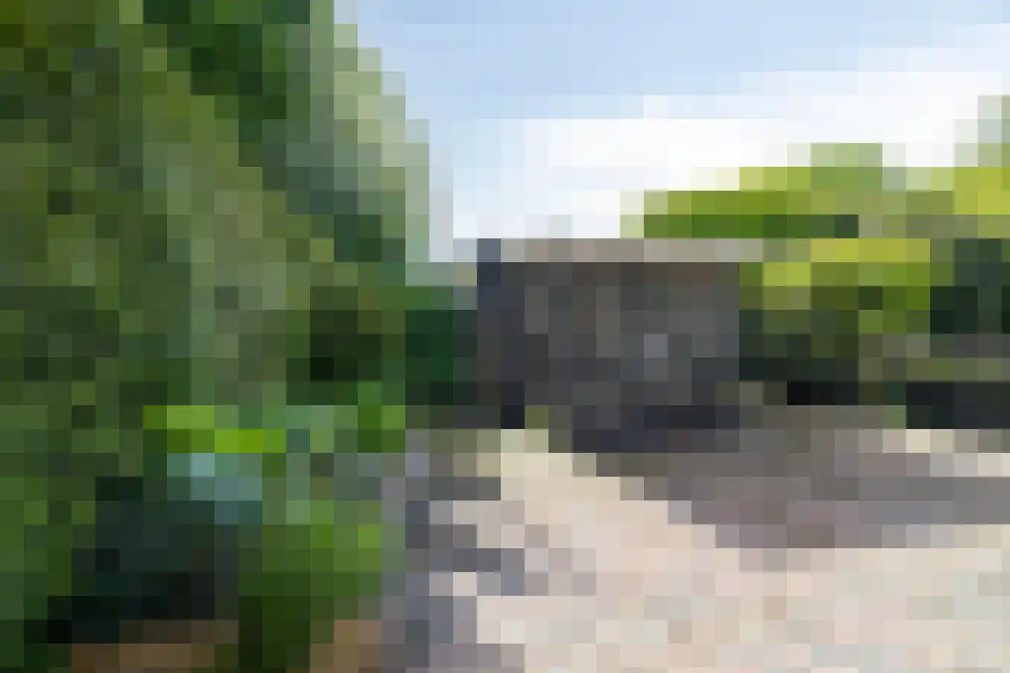 Wiltingerweg 37 Appelscha thumbnail 39