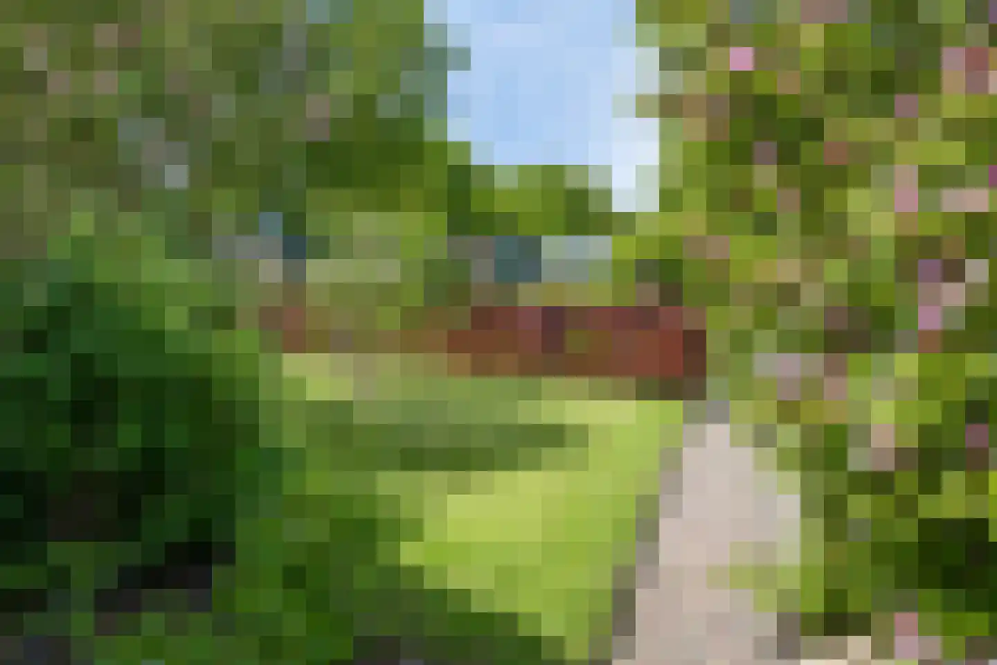 Wiltingerweg 37 Appelscha thumbnail 44