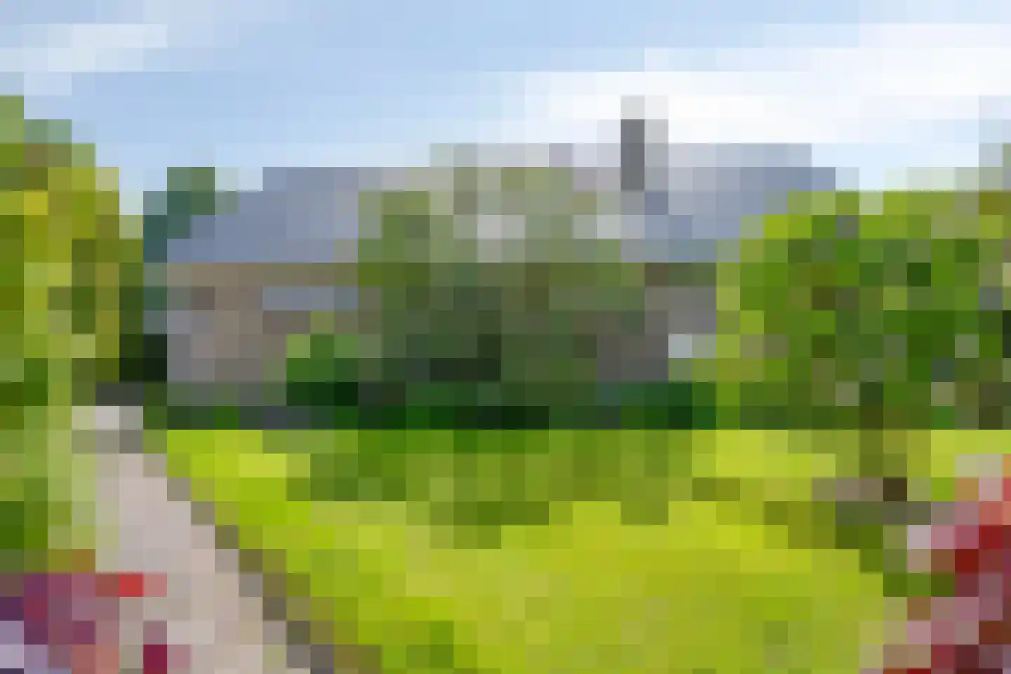 Wiltingerweg 37 Appelscha thumbnail 45