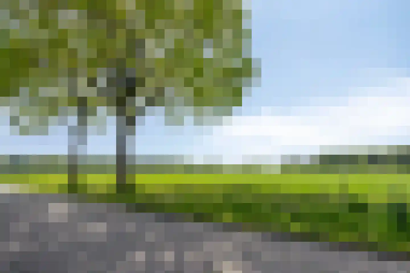 Wiltingerweg 37 Appelscha thumbnail 48