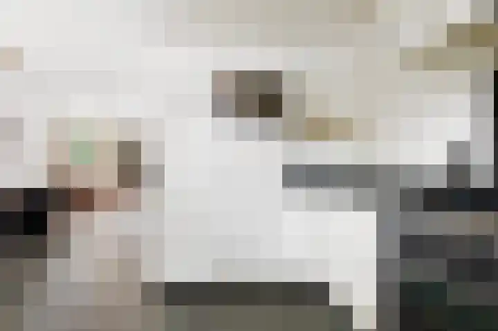 Wiltinkhof 22 Gorssel thumbnail 10