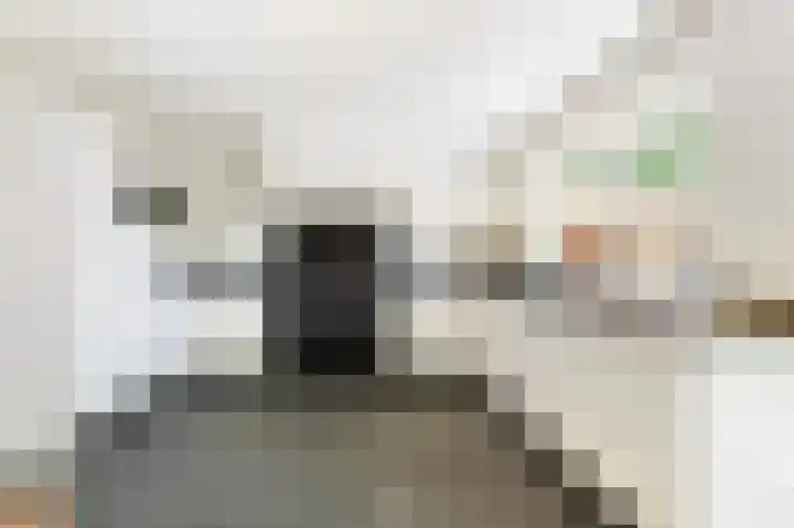 Wiltinkhof 22 Gorssel thumbnail 13