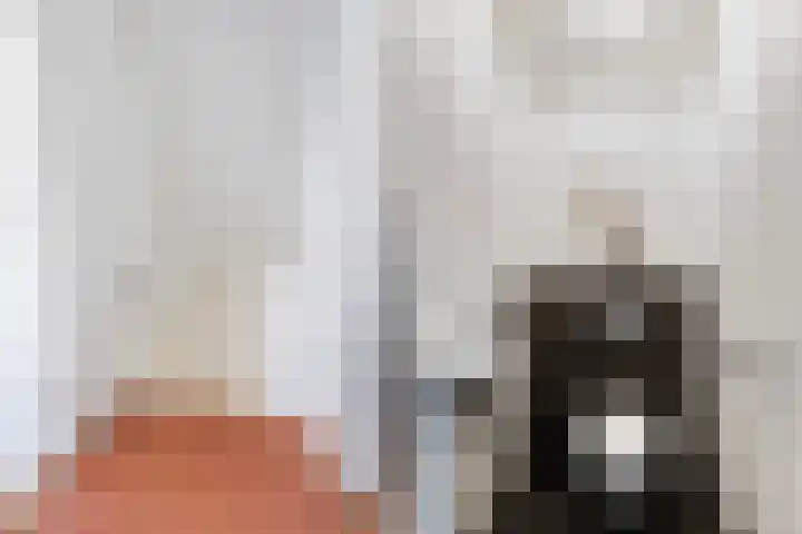 Wiltinkhof 22 Gorssel thumbnail 14