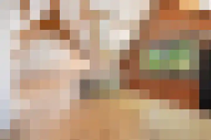 Wiltinkhof 22 Gorssel thumbnail 30