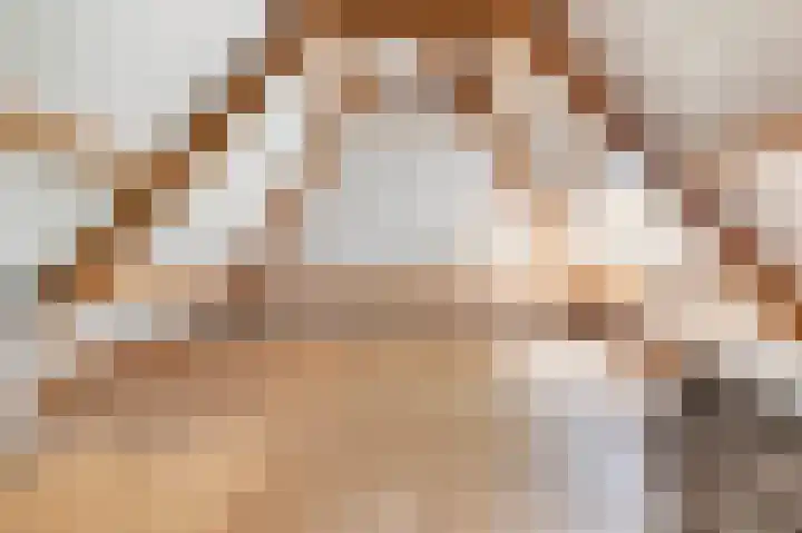 Wiltinkhof 22 Gorssel thumbnail 31
