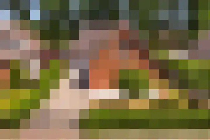 Wiltinkhof 22 Gorssel thumbnail 34