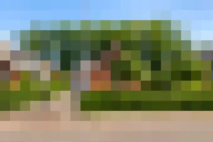 Wiltinkhof 22 Gorssel thumbnail 39