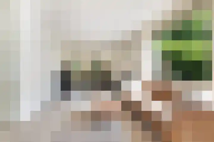 Wiltinkhof 22 Gorssel thumbnail 5