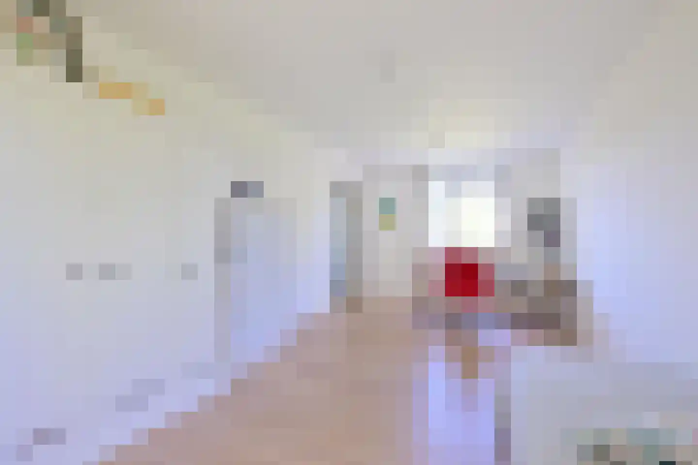 Wiltinkhof 26 Gorssel thumbnail 21