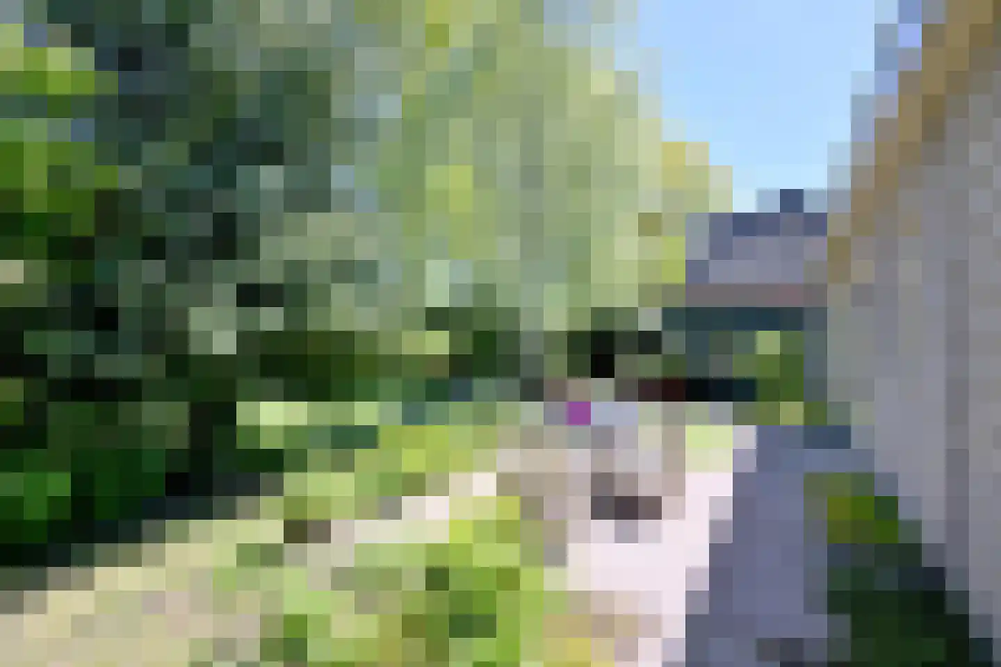 Wiltinkhof 26 Gorssel thumbnail 33