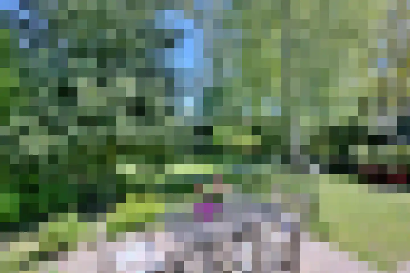 Wiltinkhof 26 Gorssel thumbnail 34