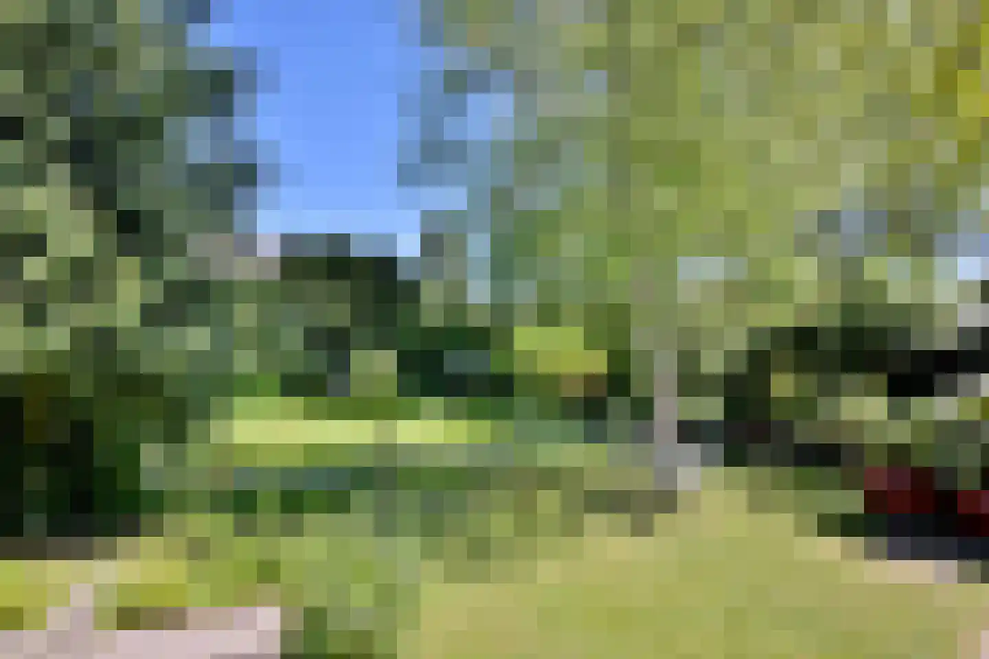 Wiltinkhof 26 Gorssel thumbnail 5