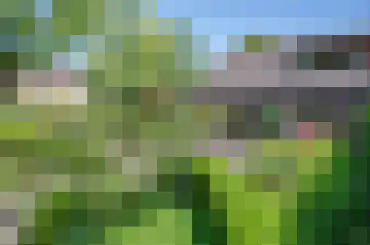 Wiltinksbrug 2 Doetinchem thumbnail 42