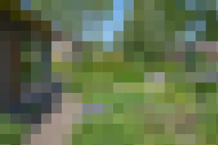 Wiltinksbrug 2 Doetinchem thumbnail 7