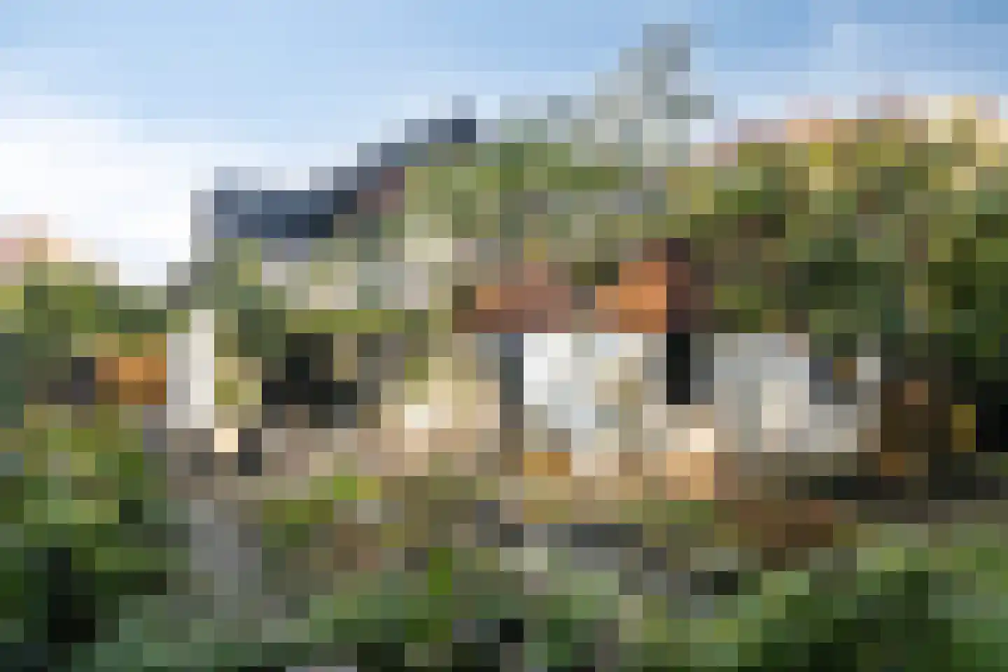 Wiltinksbrug 28 Doetinchem thumbnail 65