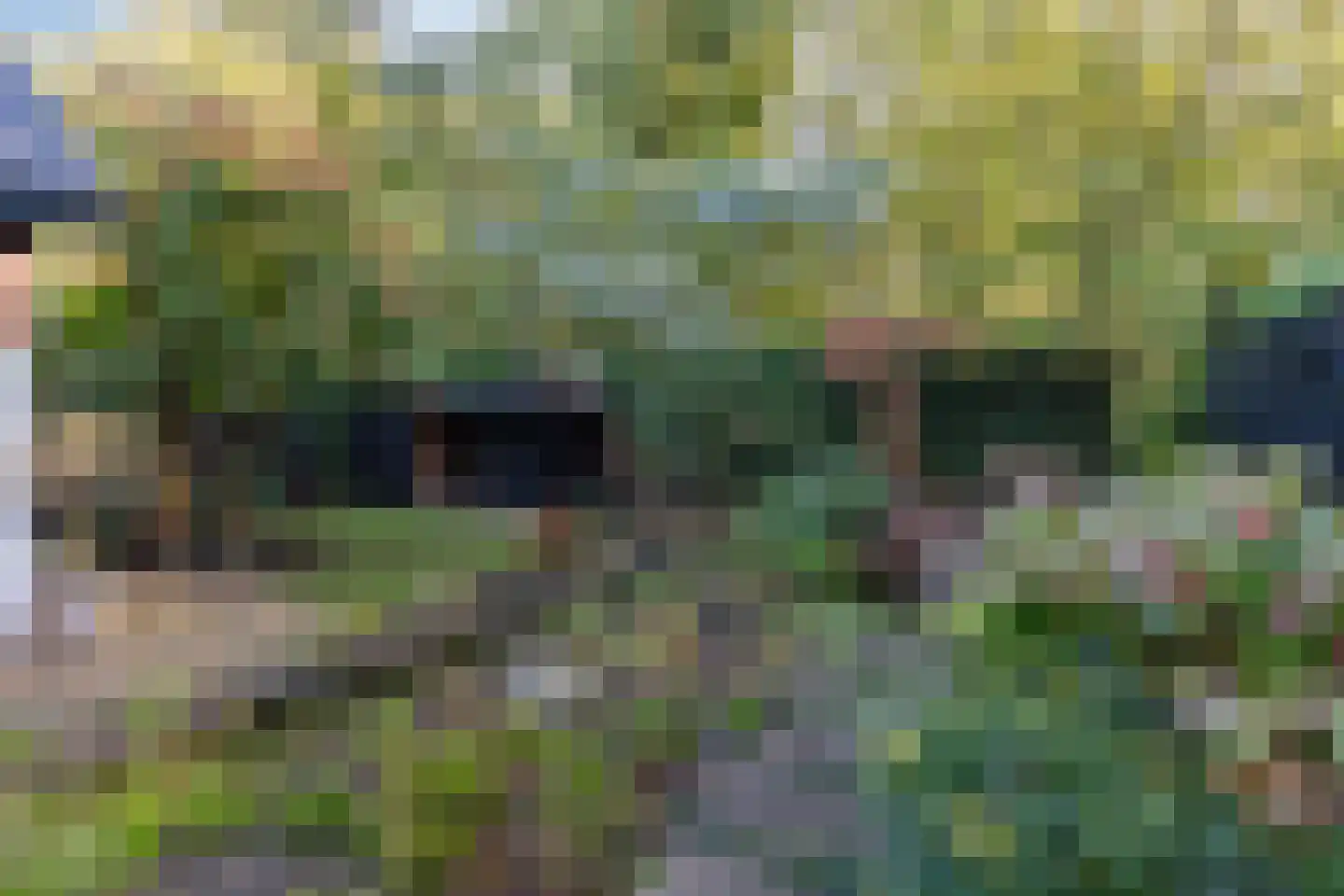 Wiltinksbrug 28 Doetinchem thumbnail 72