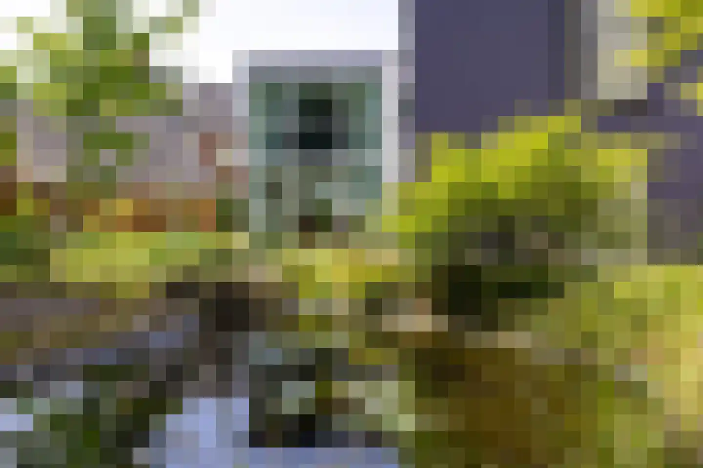 Wiltinksbrug 32 Doetinchem thumbnail 24