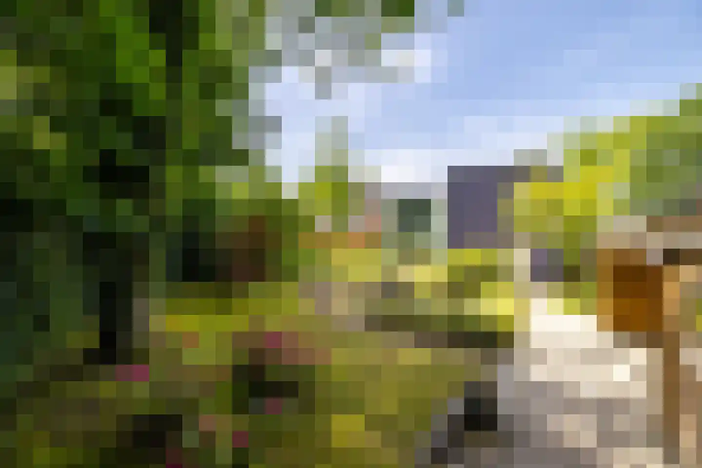 Wiltinksbrug 32 Doetinchem thumbnail 26